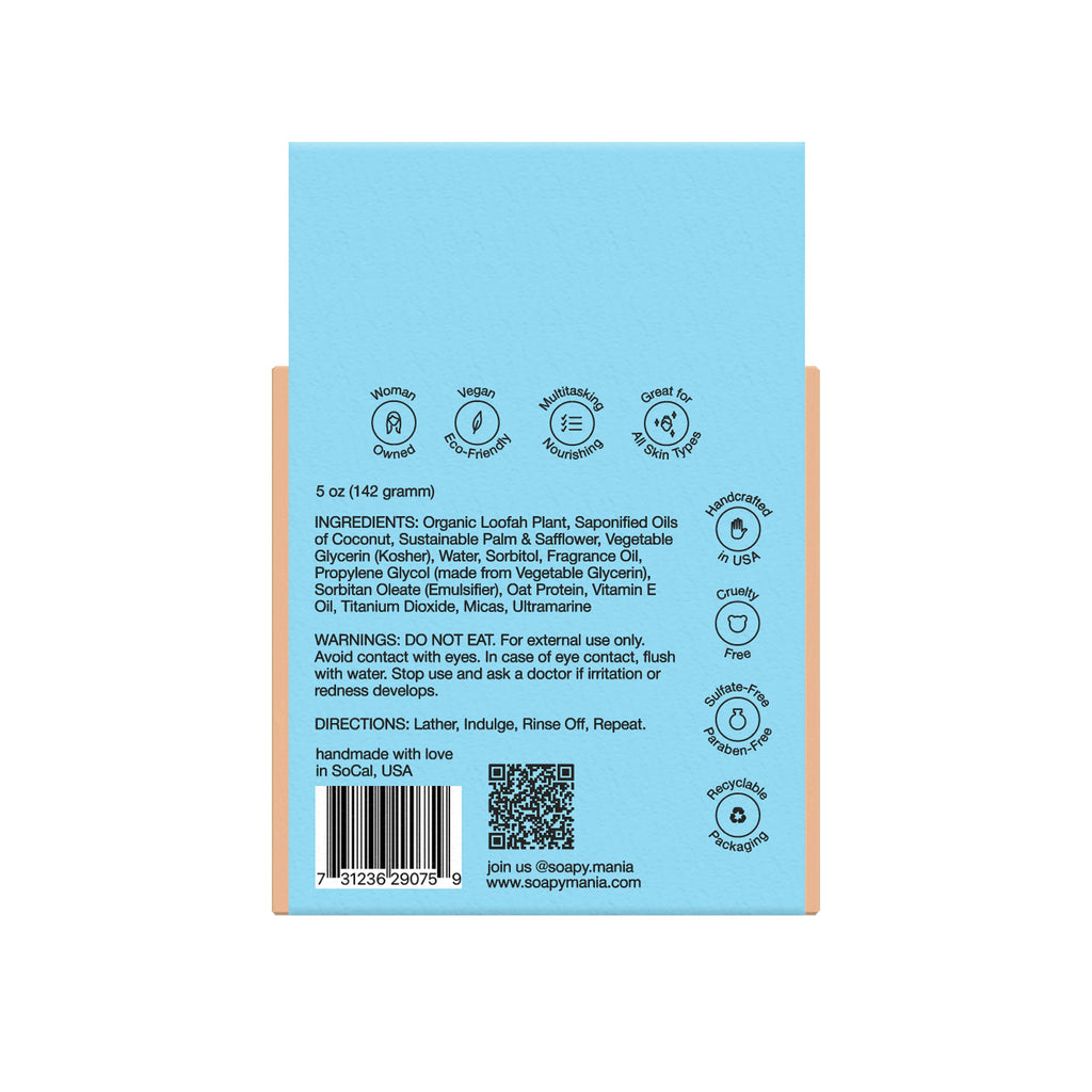 Daily Care Hawaiian Splash Exfoliating Loofah Bar Soap for daily home and personal routines with bath body and hygiene