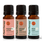 Home Essentials Home Aroma Trio Set for daily home and personal routines with pantry foods and beverages