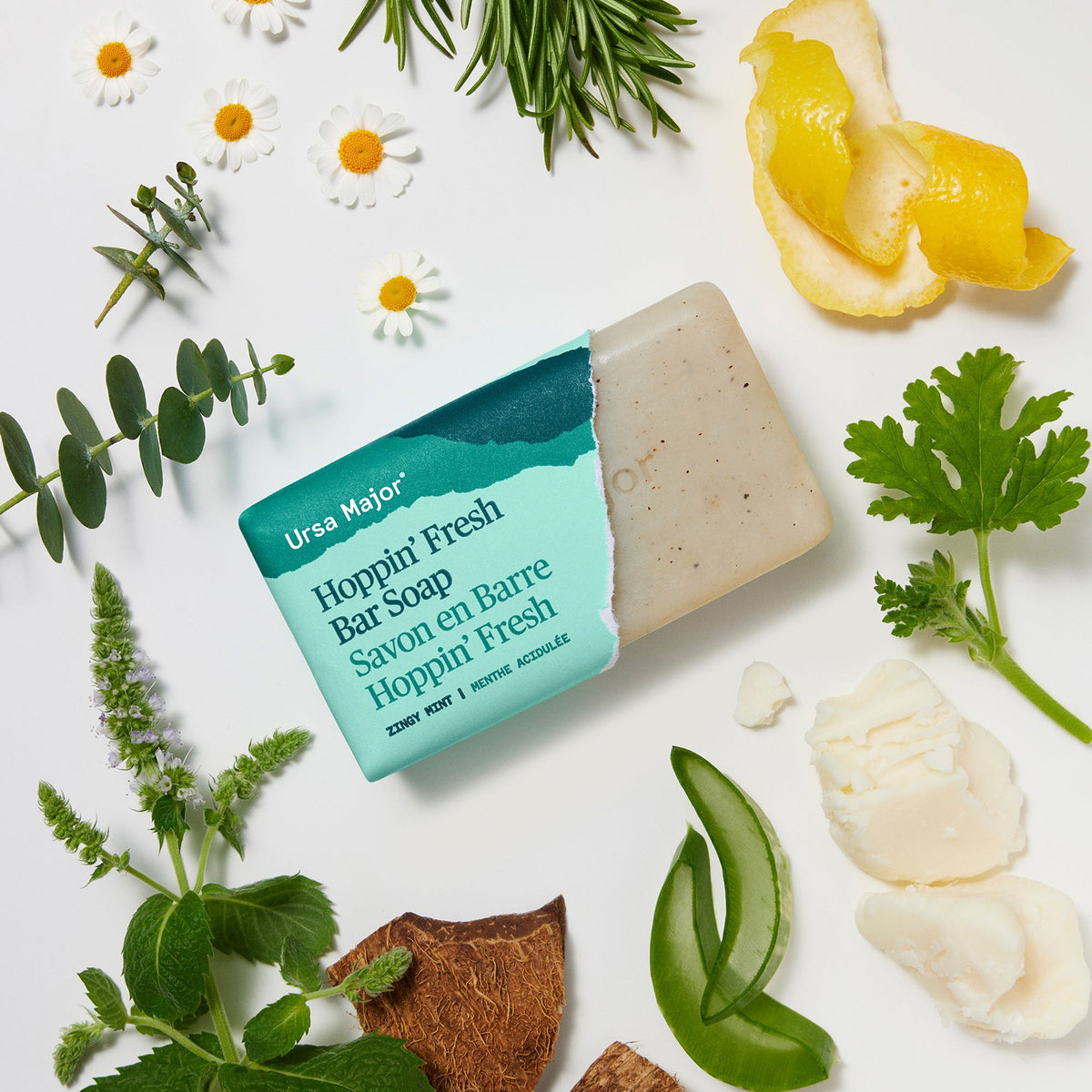 Home Essentials Hoppin Fresh Bar Soap for daily home and personal routines with bath body and hygiene