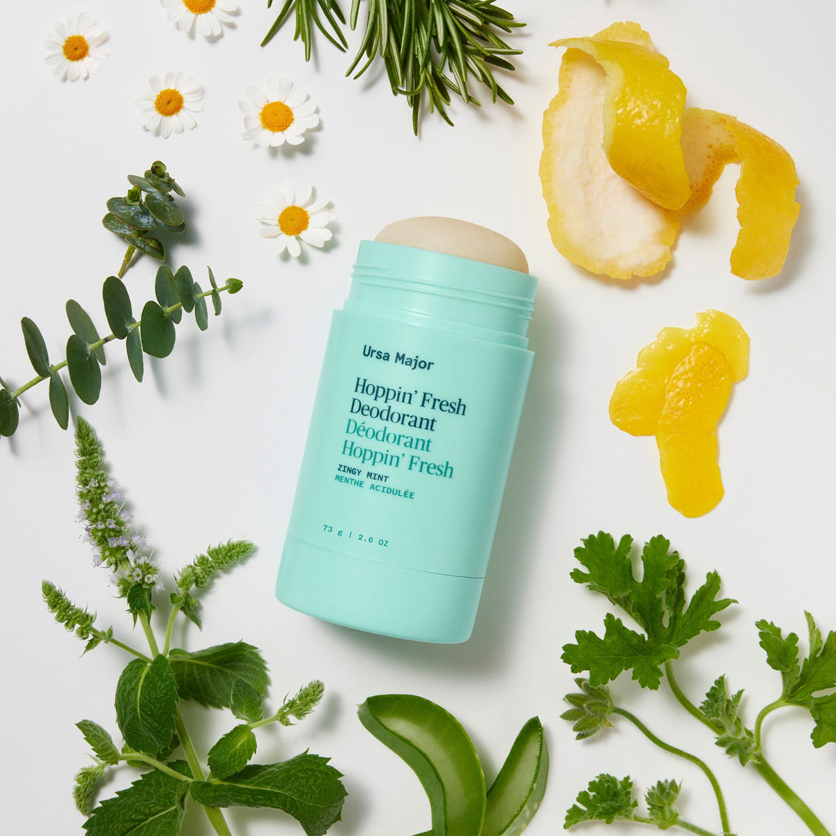 Everyday Home Hoppin Fresh Deodorant for daily home and personal routines with bath body and hygiene
