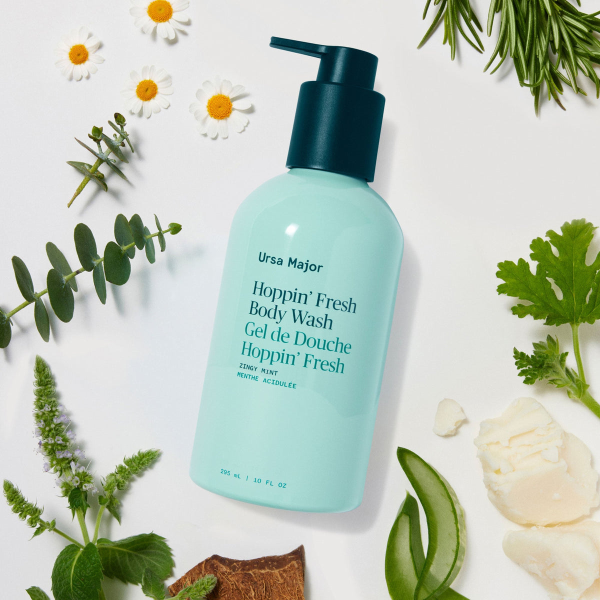 Routine Ready Hoppin Fresh Body Wash for daily home and personal routines with bath body and hygiene