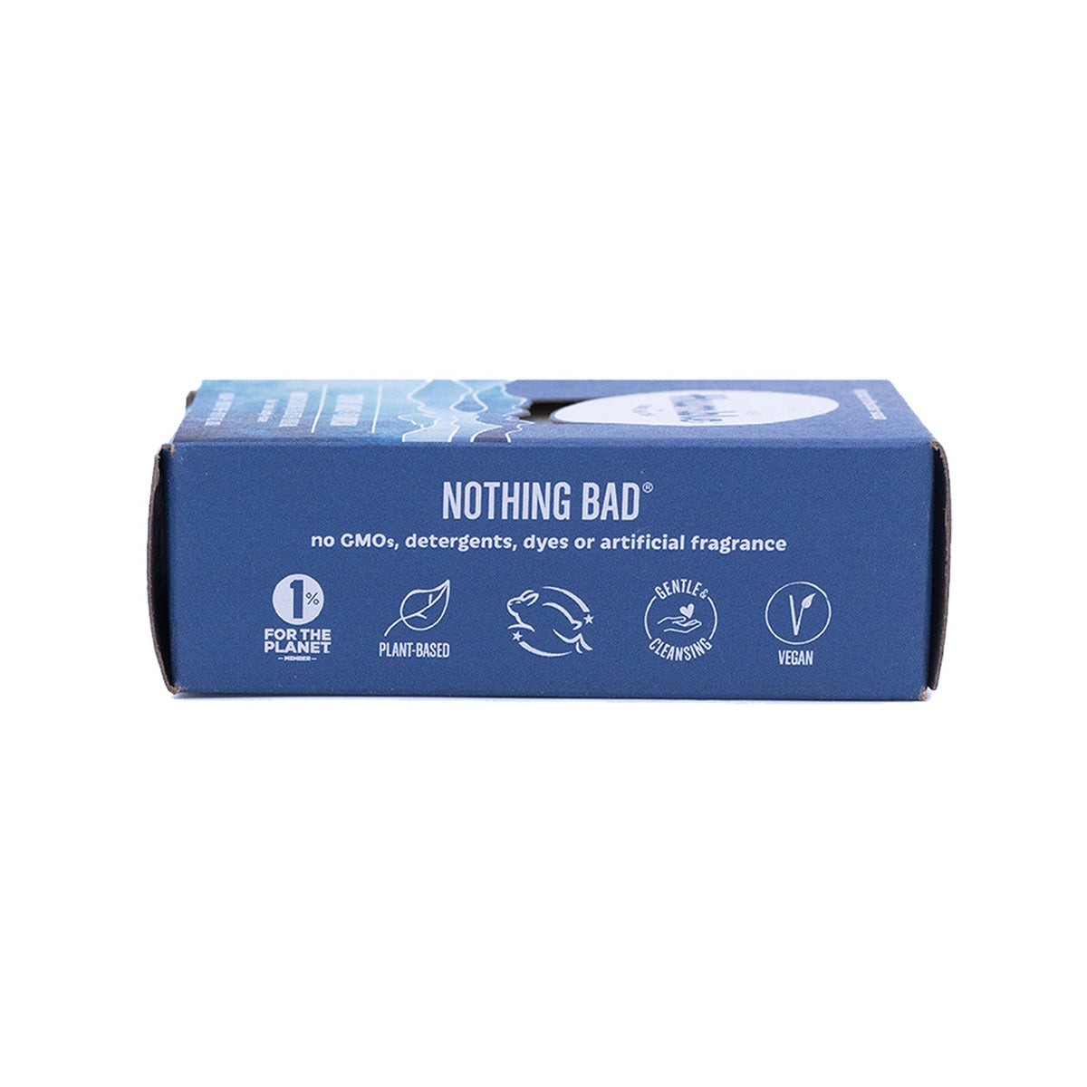 Everyday Home Bar Soap for daily home and personal routines with bath body and hygiene