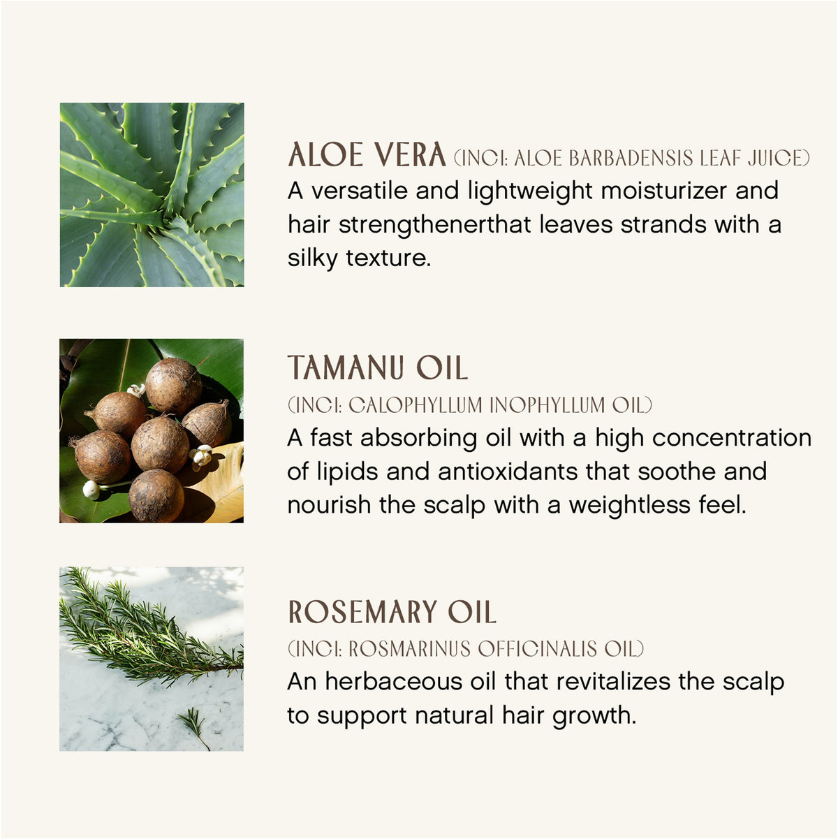 Practical Living Fragrance included Sweet Spirit Leave In Conditioner for daily home and personal routines with hair care