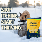 Daily Care Jiminy s Good Grub Dry Dog Food, Allergy Relief, Healthy Skin and Coat for daily home and personal routines with pet care treats and accessories