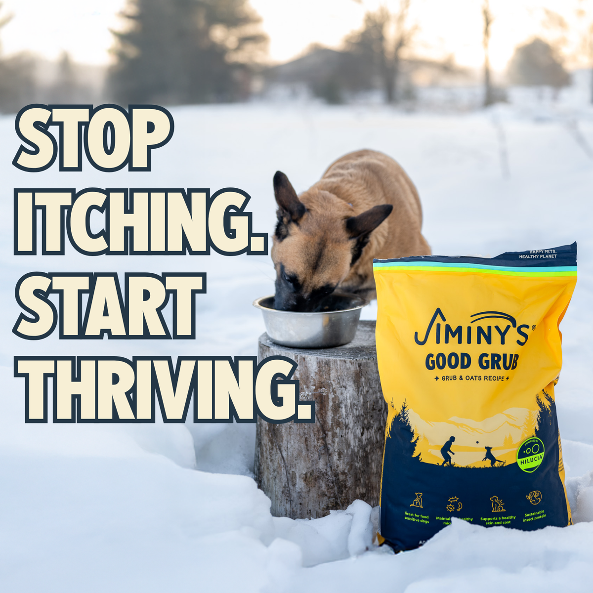 Daily Care Jiminy s Good Grub Dry Dog Food, Allergy Relief, Healthy Skin and Coat for daily home and personal routines with pet care treats and accessories