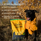 Daily Care Jiminy s Good Grub Dry Dog Food, Allergy Relief, Healthy Skin and Coat for daily home and personal routines with pet care treats and accessories