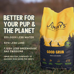 Daily Care Jiminy s Good Grub Dry Dog Food, Allergy Relief, Healthy Skin and Coat for daily home and personal routines with pet care treats and accessories