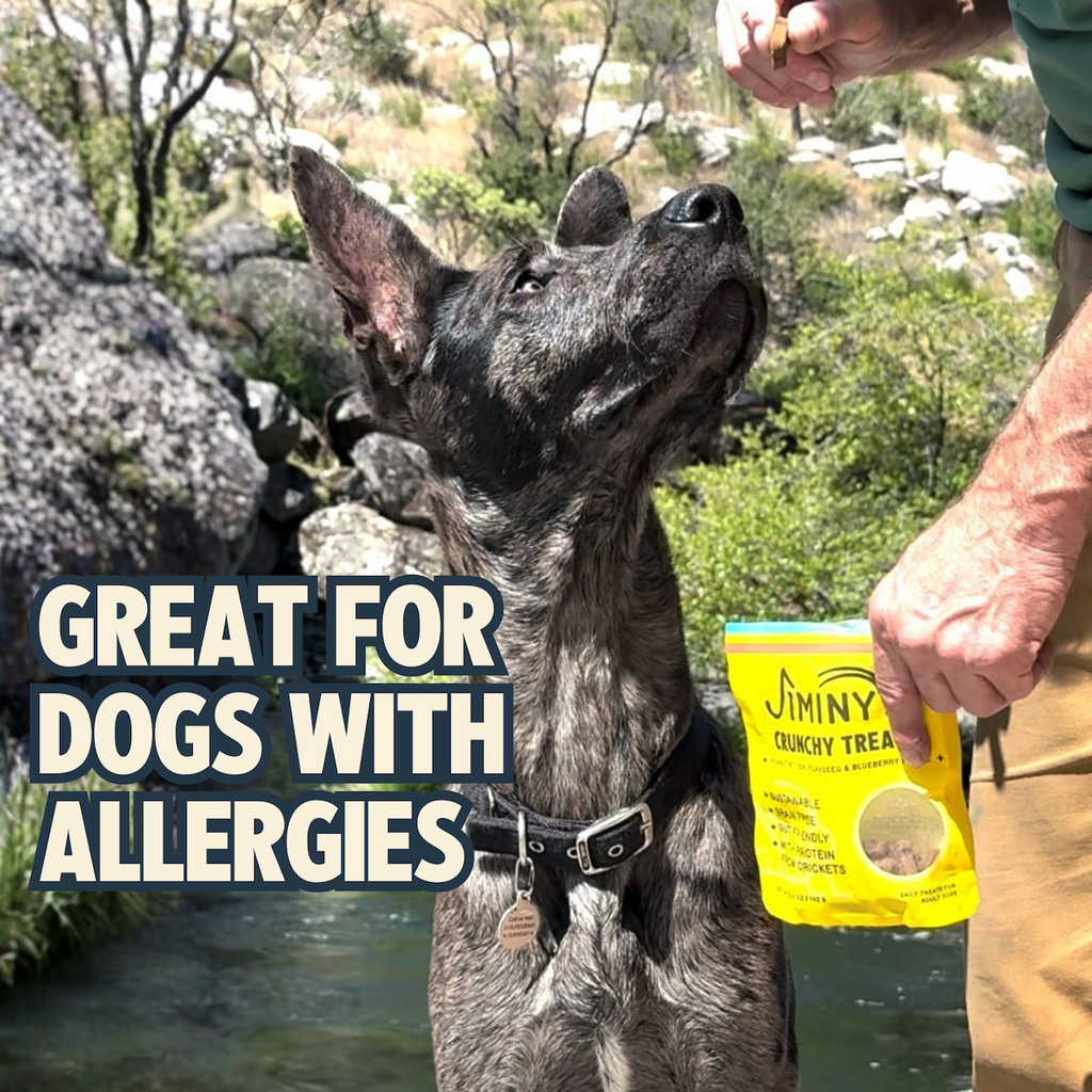 Practical Living Crunchy Peanut Butter and Blueberry Cricket Dog Treat for daily home and personal routines with pet care treats and accessories