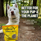 Practical Living Crunchy Peanut Butter and Blueberry Cricket Dog Treat for daily home and personal routines with pet care treats and accessories