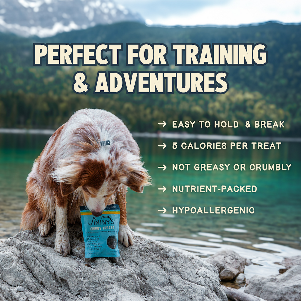 Everyday Home Chewy Peanut Butter and Cranberry Training Treats for daily home and personal routines with pet care treats and accessories