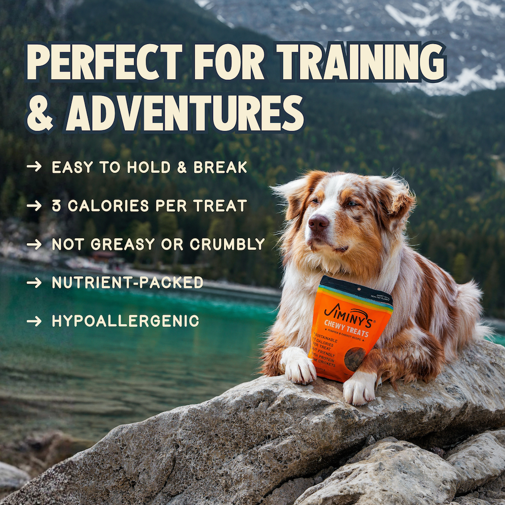 Daily Care Chewy Pumpkin and Carrot Training Treats for daily home and personal routines with pet care treats and accessories