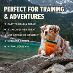 Daily Care Chewy Pumpkin and Carrot Training Treats for daily home and personal routines with pet care treats and accessories