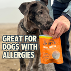 Daily Care Chewy Pumpkin and Carrot Training Treats for daily home and personal routines with pet care treats and accessories
