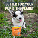 Daily Care Chewy Pumpkin and Carrot Training Treats for daily home and personal routines with pet care treats and accessories