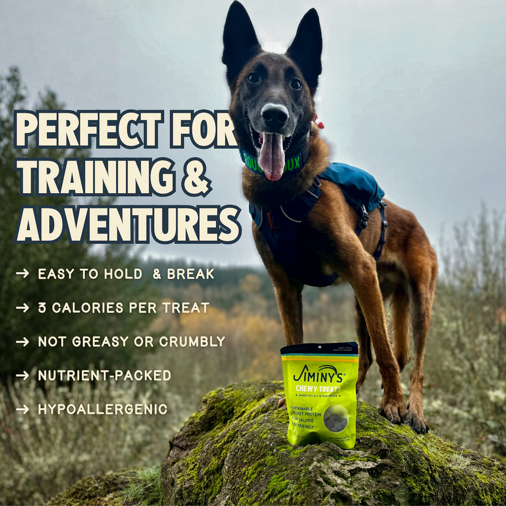 Practical Living Chewy Sweet Potato and Peas Training Treats for daily home and personal routines with pet care treats and accessories