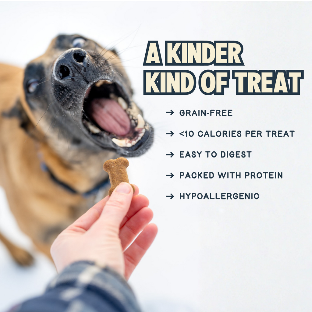Everyday Home Crunchy Original Cricket Dog Treat for daily home and personal routines with pet care treats and accessories