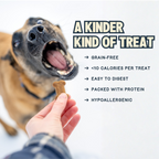 Everyday Home Crunchy Original Cricket Dog Treat for daily home and personal routines with pet care treats and accessories