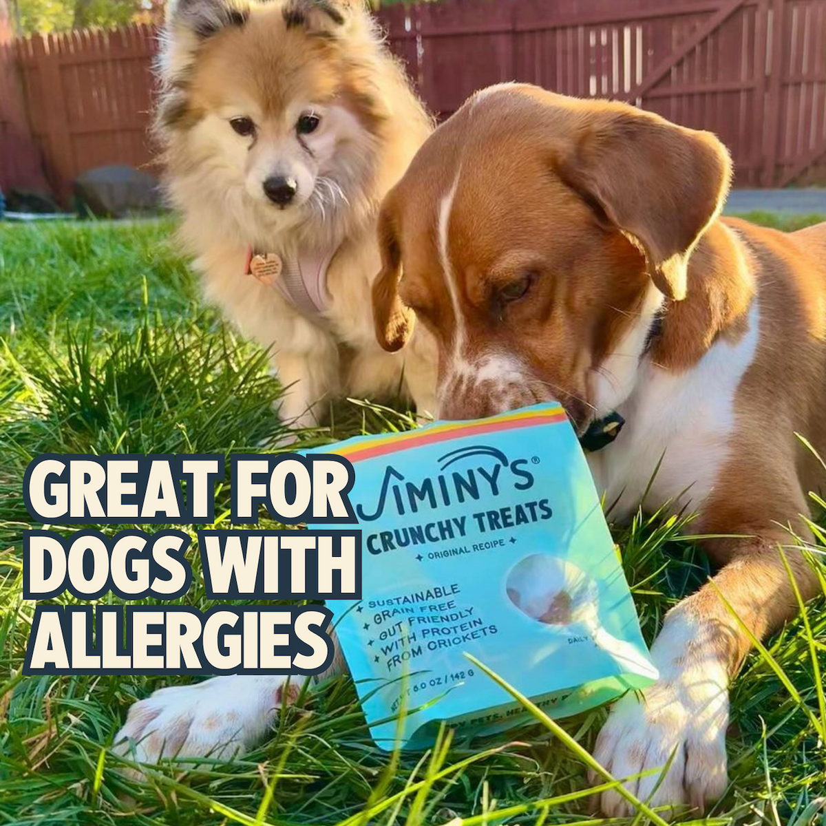 Everyday Home Crunchy Original Cricket Dog Treat for daily home and personal routines with pet care treats and accessories