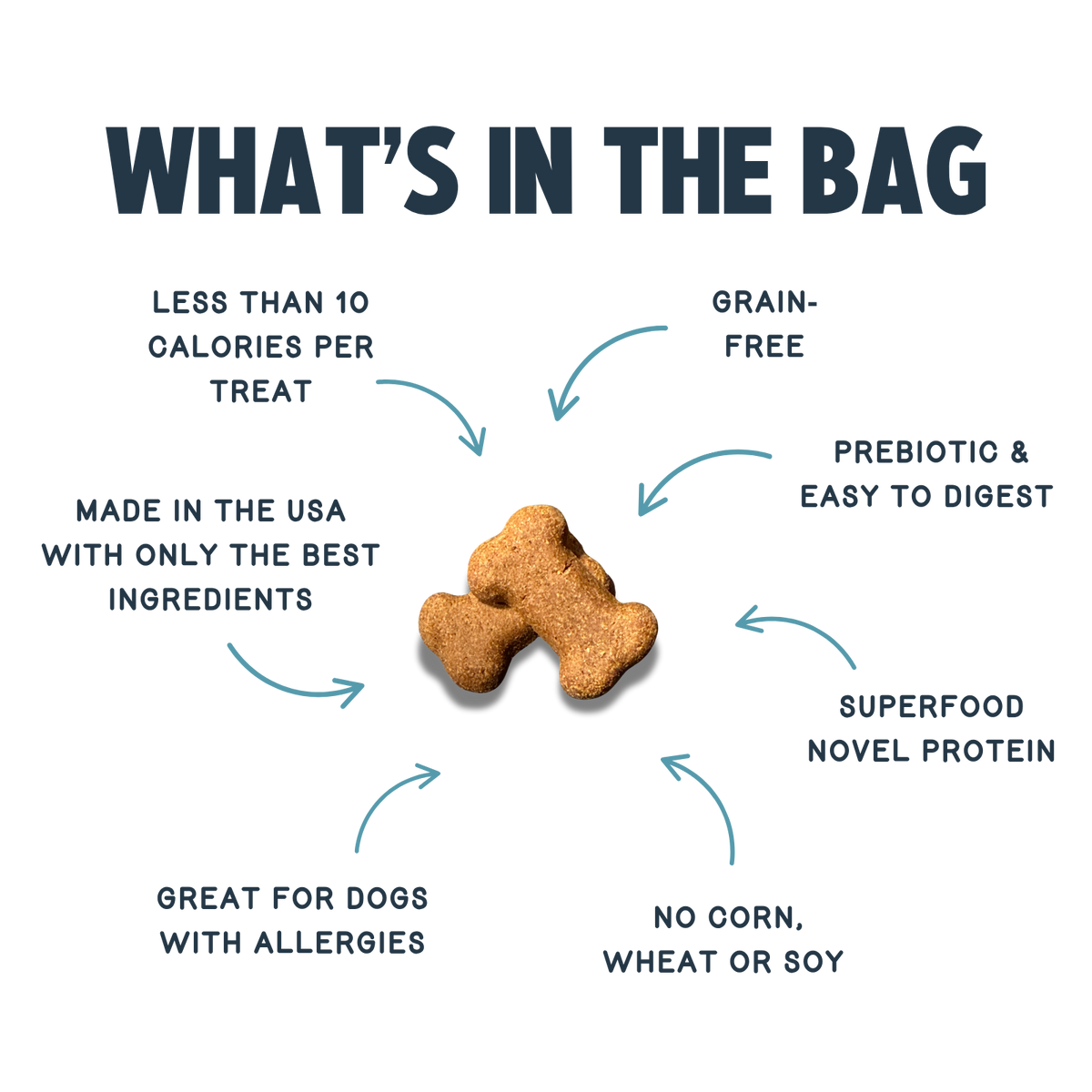 Everyday Home Crunchy Original Cricket Dog Treat for daily home and personal routines with pet care treats and accessories
