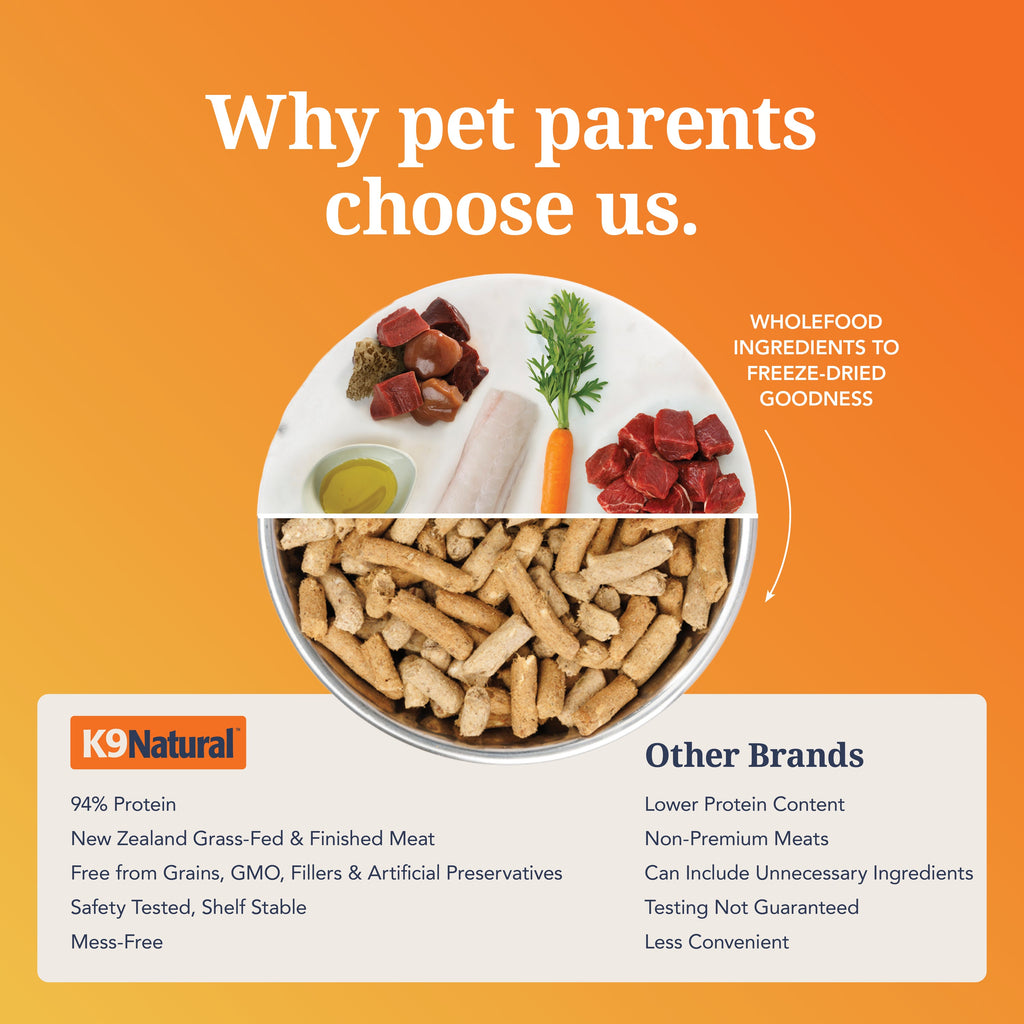 Everyday Home Dog Food - Grain-included, Freeze-Dried for daily home and personal routines with pet care treats and accessories