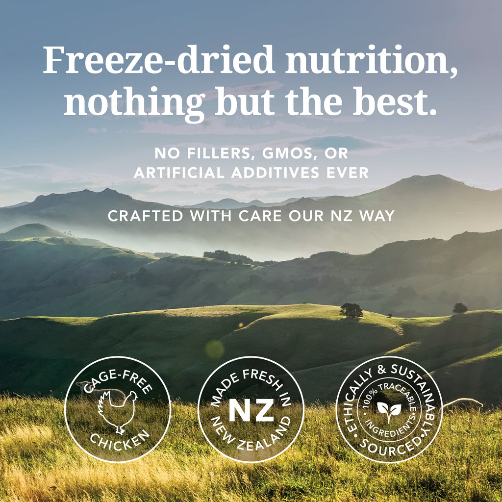 Everyday Home Dog Food - Grain-included, Freeze-Dried for daily home and personal routines with pet care treats and accessories