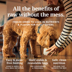 Everyday Home Dog Food - Grain-included, Freeze-Dried for daily home and personal routines with pet care treats and accessories