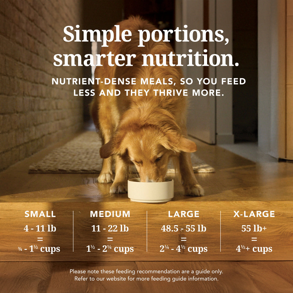 Everyday Home Dog Food - Grain-included, Freeze-Dried for daily home and personal routines with pet care treats and accessories