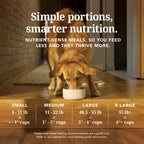 Everyday Home Dog Food - Grain-included, Freeze-Dried for daily home and personal routines with pet care treats and accessories