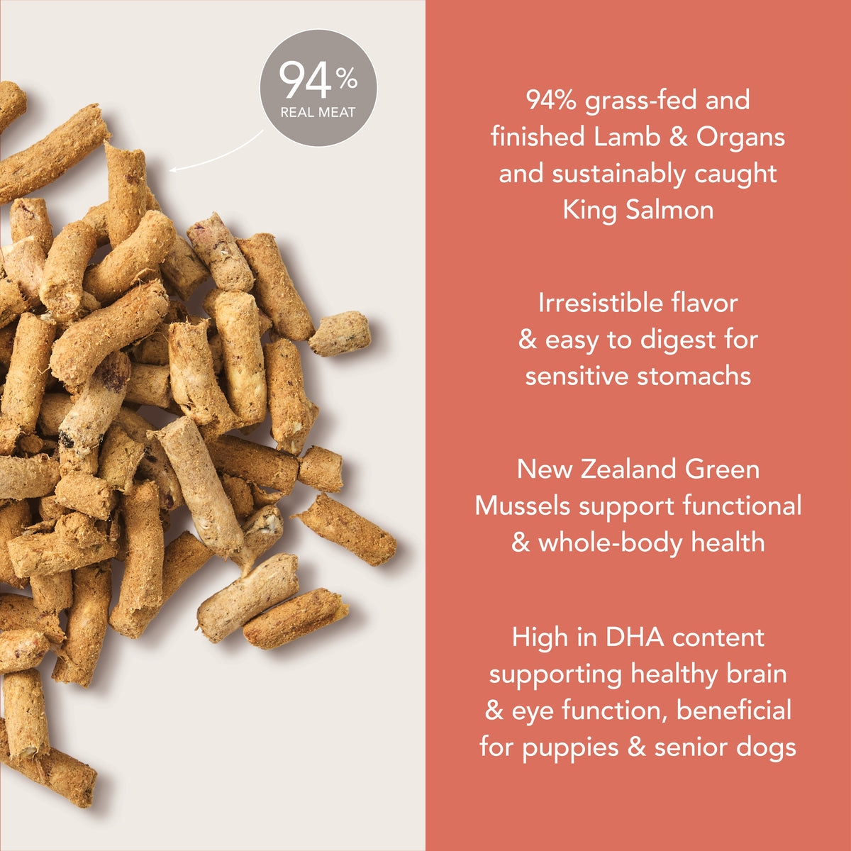 Everyday Home Dog Food - Grain-included, Freeze-Dried for daily home and personal routines with pet care treats and accessories