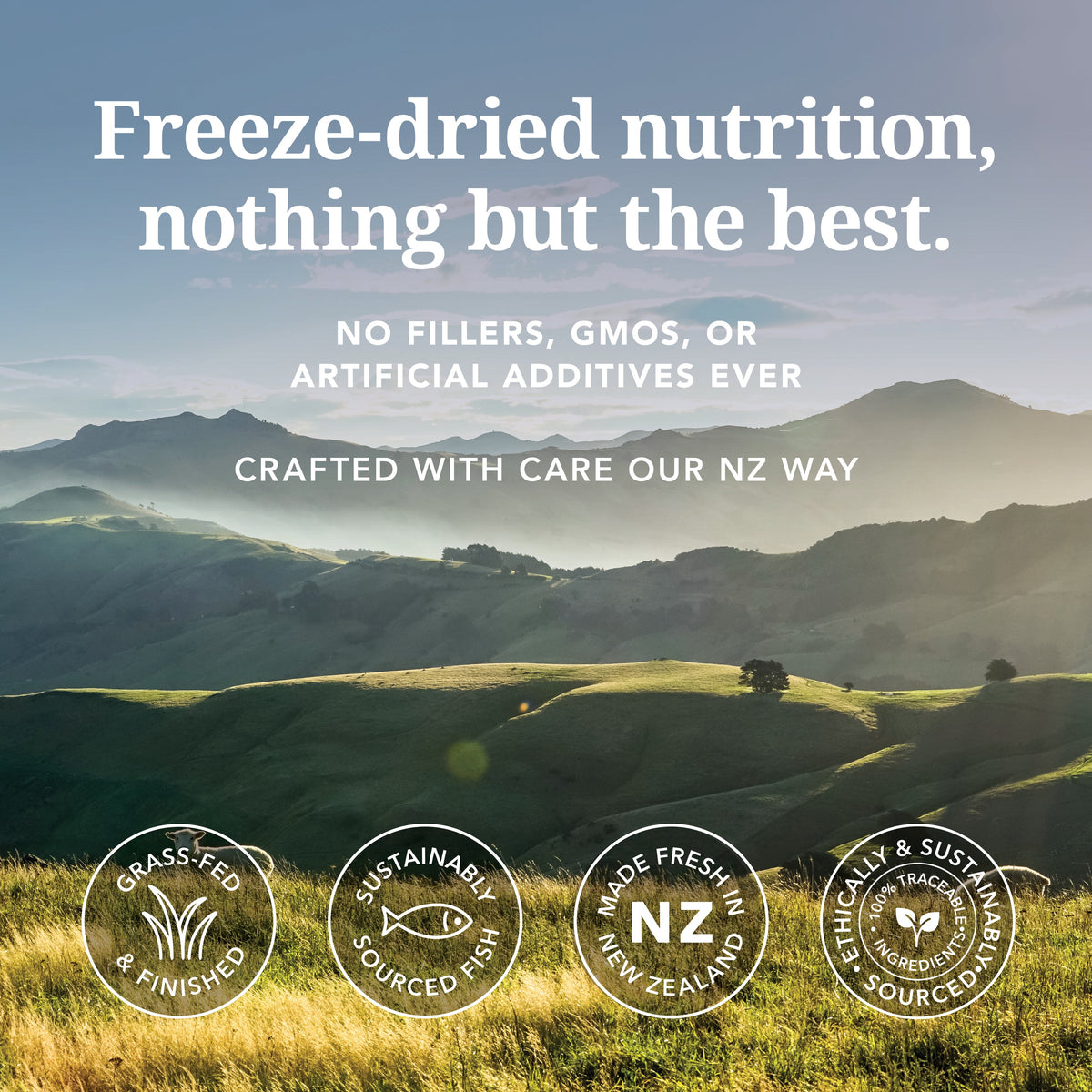 Everyday Home Dog Food - Grain-included, Freeze-Dried for daily home and personal routines with pet care treats and accessories