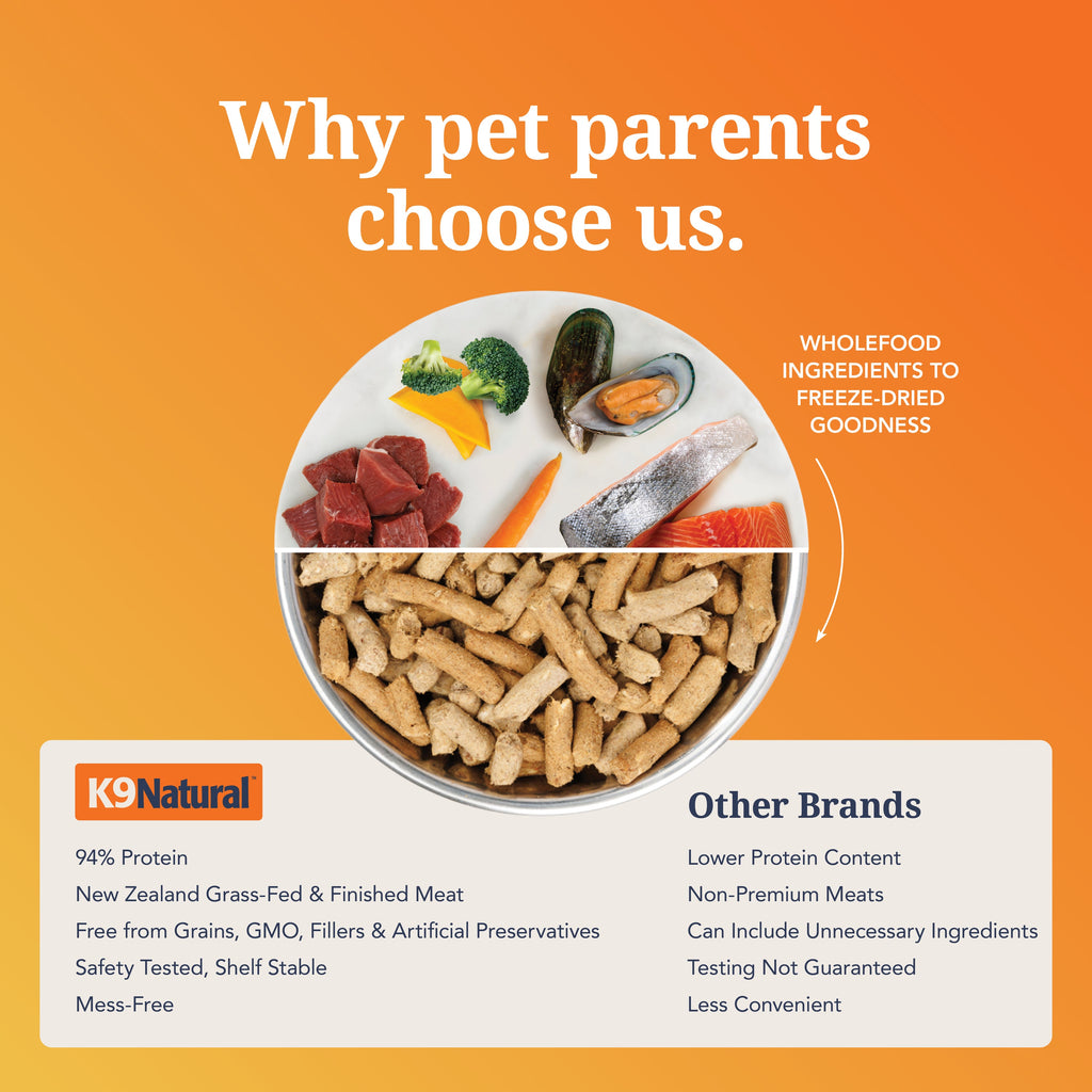 Everyday Home Dog Food - Grain-included, Freeze-Dried for daily home and personal routines with pet care treats and accessories