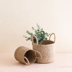 Practical Living Abaca Cylinder Tabletop Basket with Handles, Set of 2 for daily home and personal routines with home organization and everyday goods