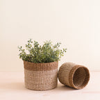 Home Essentials Abaca Cylinder Tabletop Basket, nested set of 2 for daily home and personal routines with home organization and everyday goods