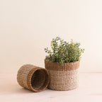 Home Essentials Abaca Cylinder Tabletop Basket, nested set of 2 for daily home and personal routines with home organization and everyday goods