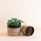Routine Ready Abaca Cylinder Tabletop Basket, nested set of 2 for daily home and personal routines with home organization and everyday goods
