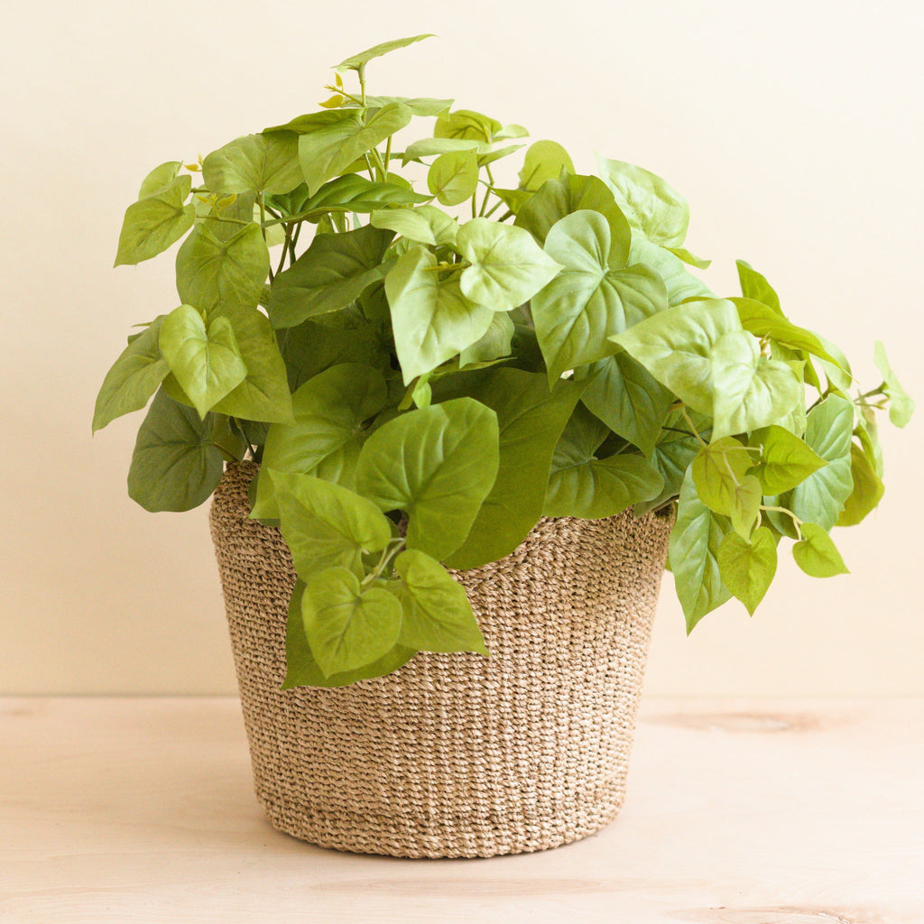 Practical Living Abaca Scallop Basket for daily home and personal routines with home organization and everyday goods