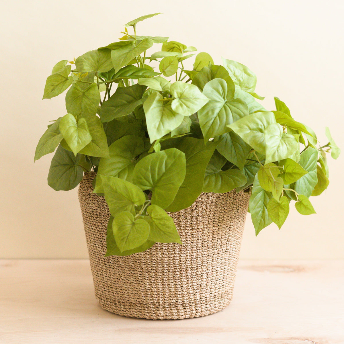 Practical Living Abaca Scallop Basket for daily home and personal routines with home organization and everyday goods