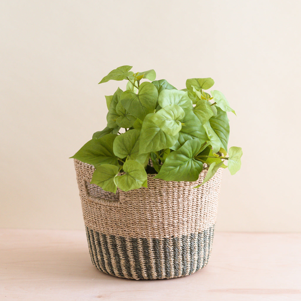 Practical Living Abaca Tapered Basket for daily home and personal routines with home organization and everyday goods