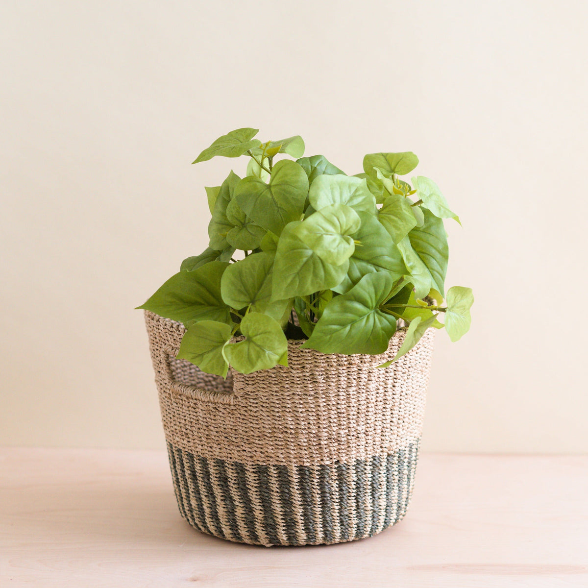 Practical Living Abaca Tapered Basket for daily home and personal routines with home organization and everyday goods