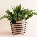 Daily Care Abaca Tapered Basket for daily home and personal routines with home organization and everyday goods