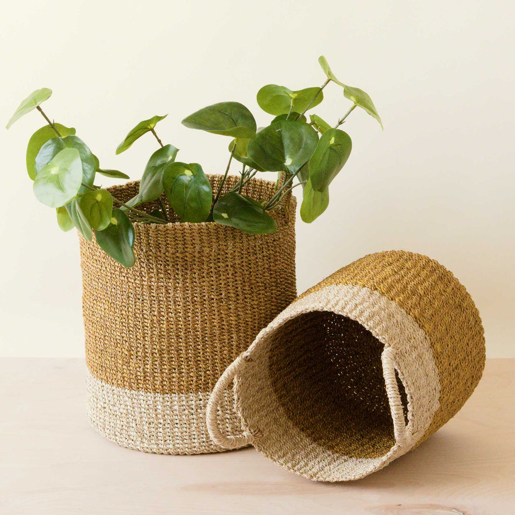 Practical Living Abaca Cylinder Basket with Handles, Set of 2 for daily home and personal routines with home organization and everyday goods