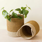 Practical Living Abaca Cylinder Basket with Handles, Set of 2 for daily home and personal routines with home organization and everyday goods
