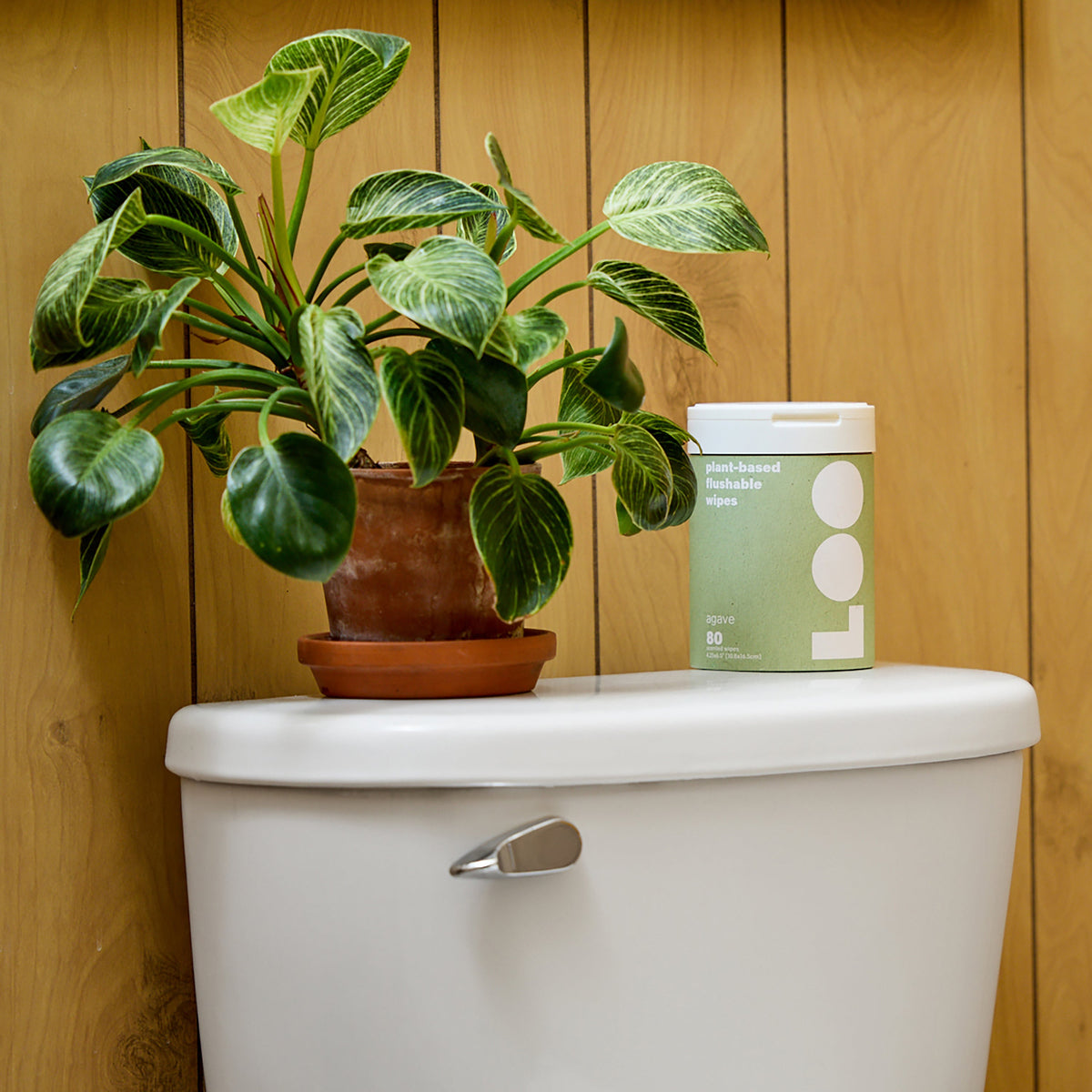 Everyday Home Agave Flushable Wipes for daily home and personal routines with general everyday essentials