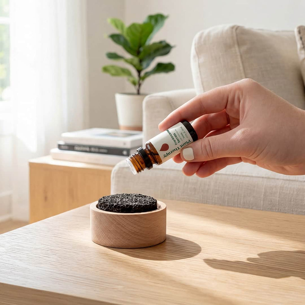 Daily Care Lava Rock Passive Diffuser for daily home and personal routines with general everyday essentials