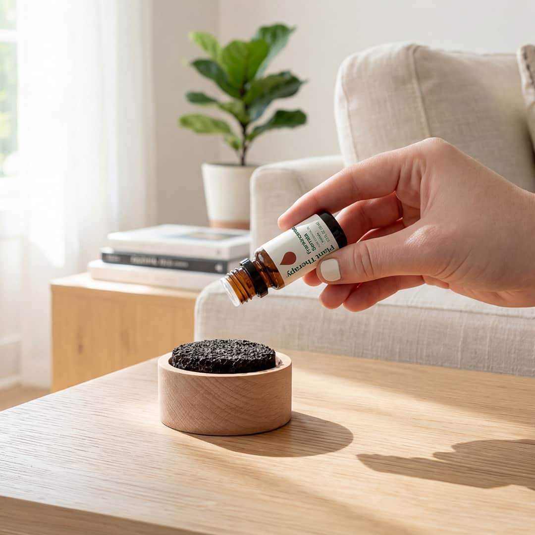 Daily Care Lava Rock Passive Diffuser for daily home and personal routines with general everyday essentials