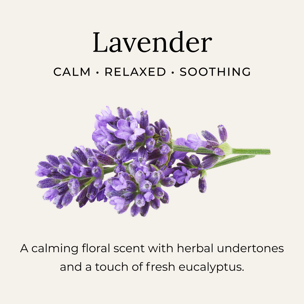 Everyday Home Deodorant Creams for daily home and personal routines with bath body and hygiene