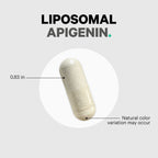 Routine Ready Liposomal Apigenin Capsules for daily home and personal routines with general everyday essentials
