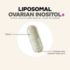Routine Ready Liposomal Ovarian Inositol+ - Hormonal harmony for daily home and personal routines with general everyday essentials