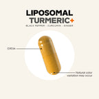 Daily Care Liposomal Turmeric+ Capsules for daily home and personal routines with general everyday essentials