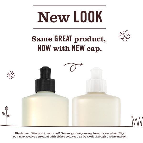 Daily Care Dish Soap for daily home and personal routines with cleaning laundry and paper products